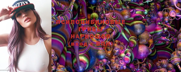 хмурый Алзамай