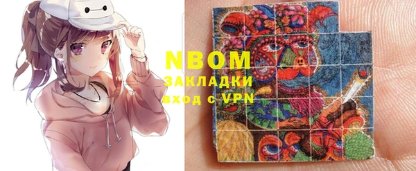 хмурый Алзамай